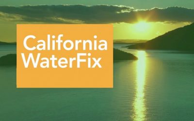SCWC Responds: MWD Votes “Yes” on California WaterFix