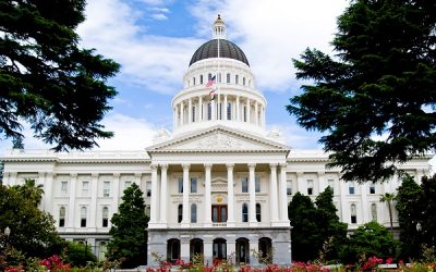 50+ California Groups Urge Support for State Water Project Contract Extension Hearing