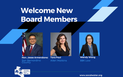 Celebrating Three New Members Joining the SCWC Board