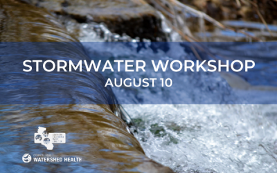 Join us August 10 for Stormwater Workshop