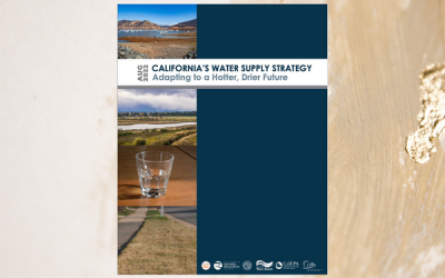 Governor Newsom Announces Water Strategy For a Hotter, Drier California