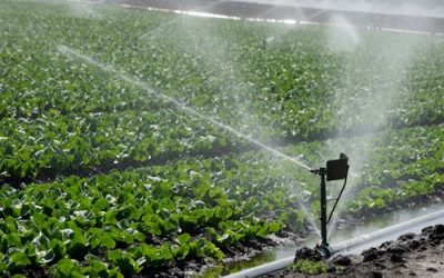 California WaterFix Benefits Urban, Agricultural Stakeholders
