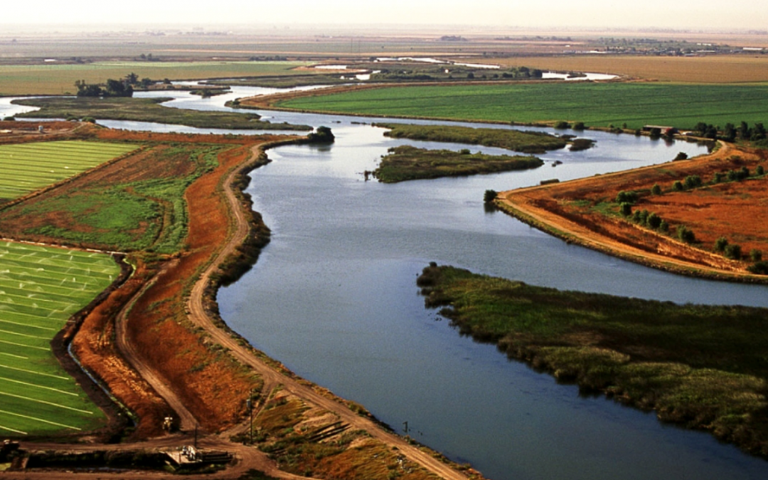 Support for Governor Newsom’s Action to Adapt Water Resource Management Strategies