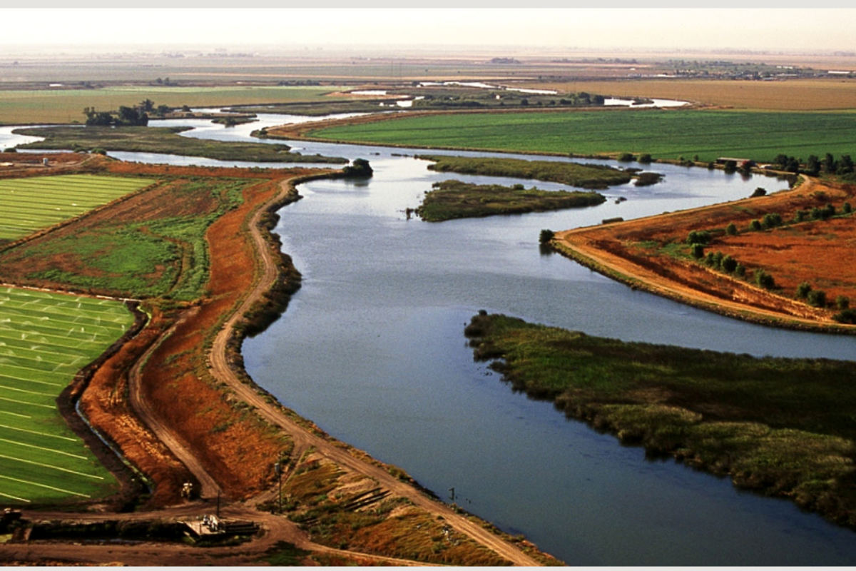 An aerial view of the California Bay Delta showing agricultural fields