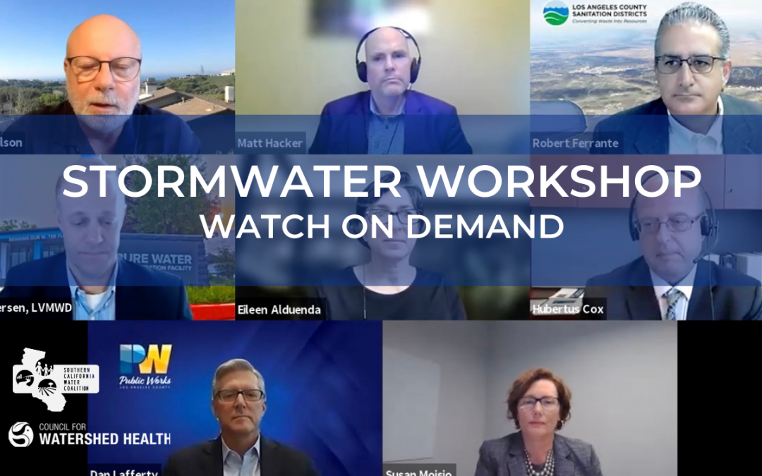 Watch Stormwater Workshop 2021 Webinar Video On Demand